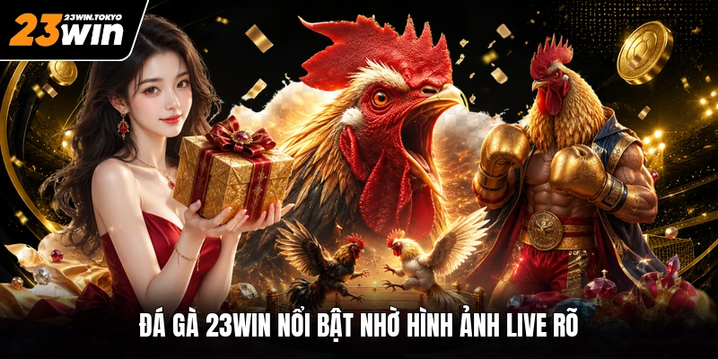 Đá gà 23WIN nổi bật nhờ hình ảnh live rõ